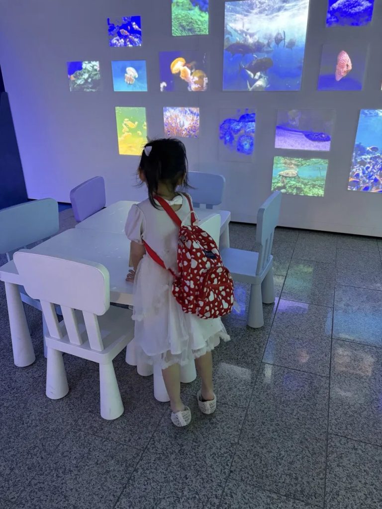 郵政博物館海洋特展海底影片牆